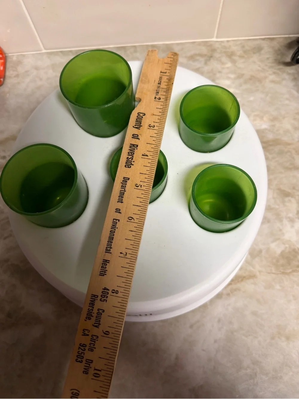 Interactive Treat Puzzle for Cats - Green